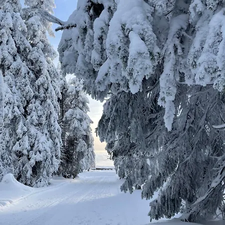 Kabrtova Bouda Lodge *