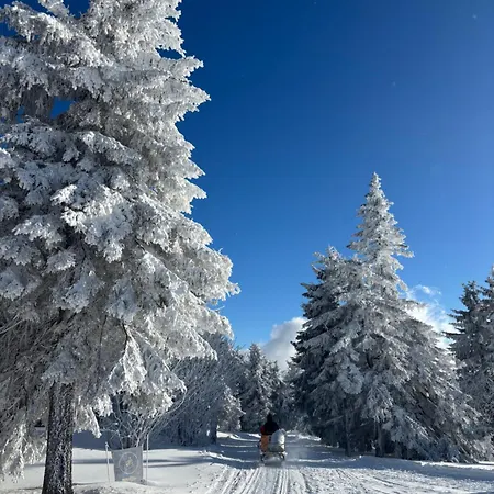 بيت خشبي Kabrtova Bouda جانسك لازني