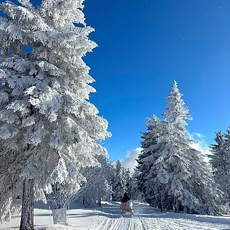 Lodge Kabrtova Bouda *