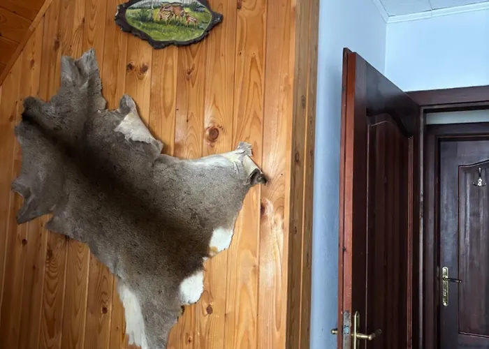 Domek letniskowy Kabrtova Bouda *
